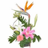 ۿʻٵ