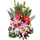 ۿʻٵ