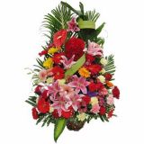 ۿʻٵ