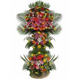 ۿʻٵ